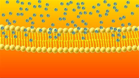 watchdiffusion|diffusion animation.